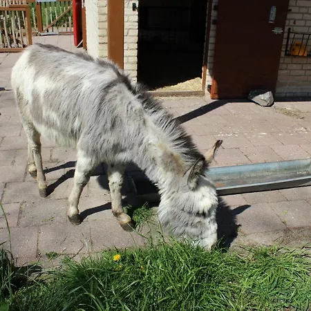 Strandhuisje Op Nabij Nijmegen * Ewijk